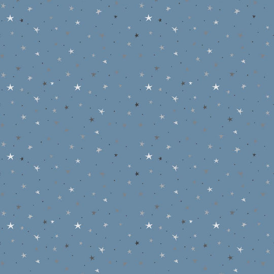 Starry Starry Night
