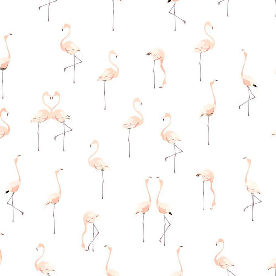 Pink Flamingos on White