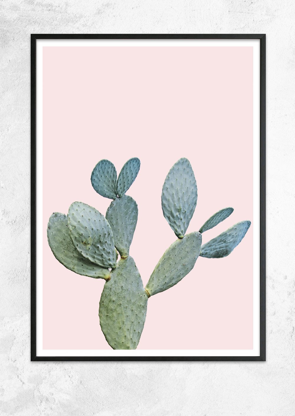 Prickly Pear in Dusty Pink