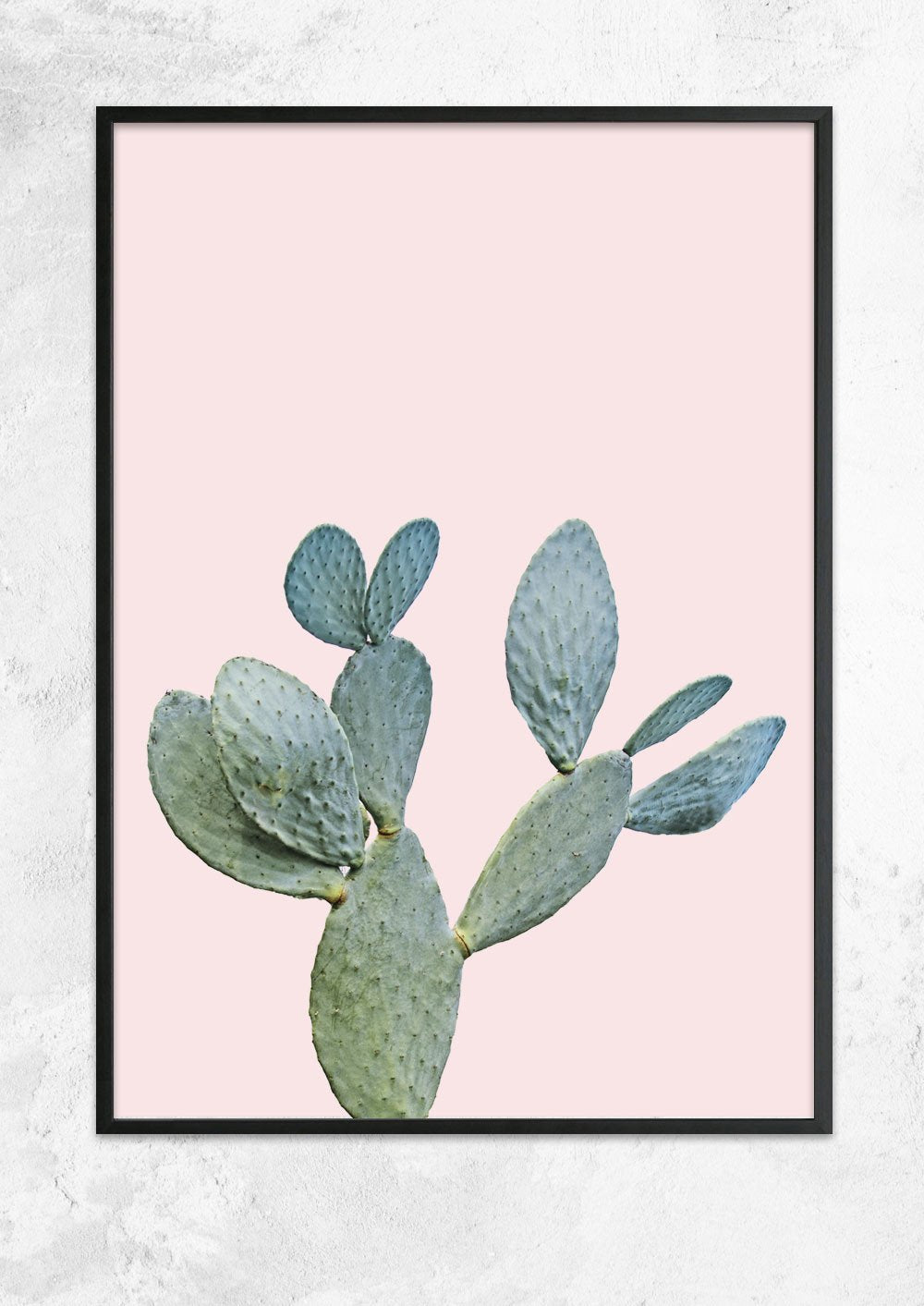 Prickly Pear in Dusty Pink