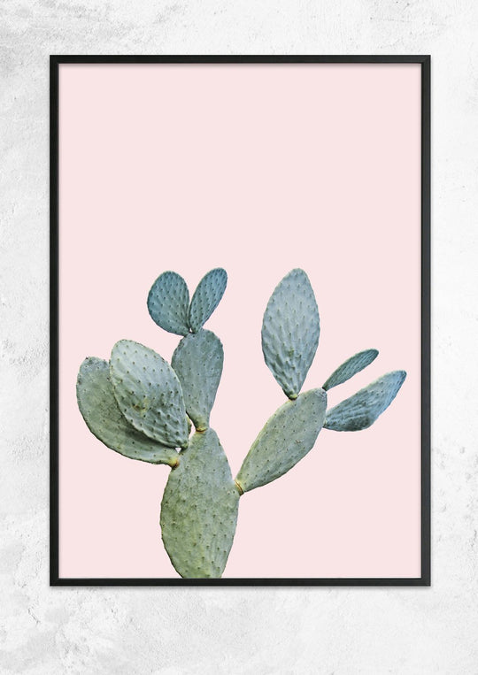 Prickly Pear in Dusty Pink