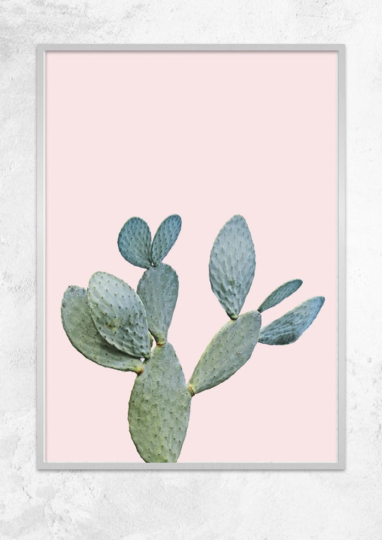 Prickly Pear in Dusty Pink