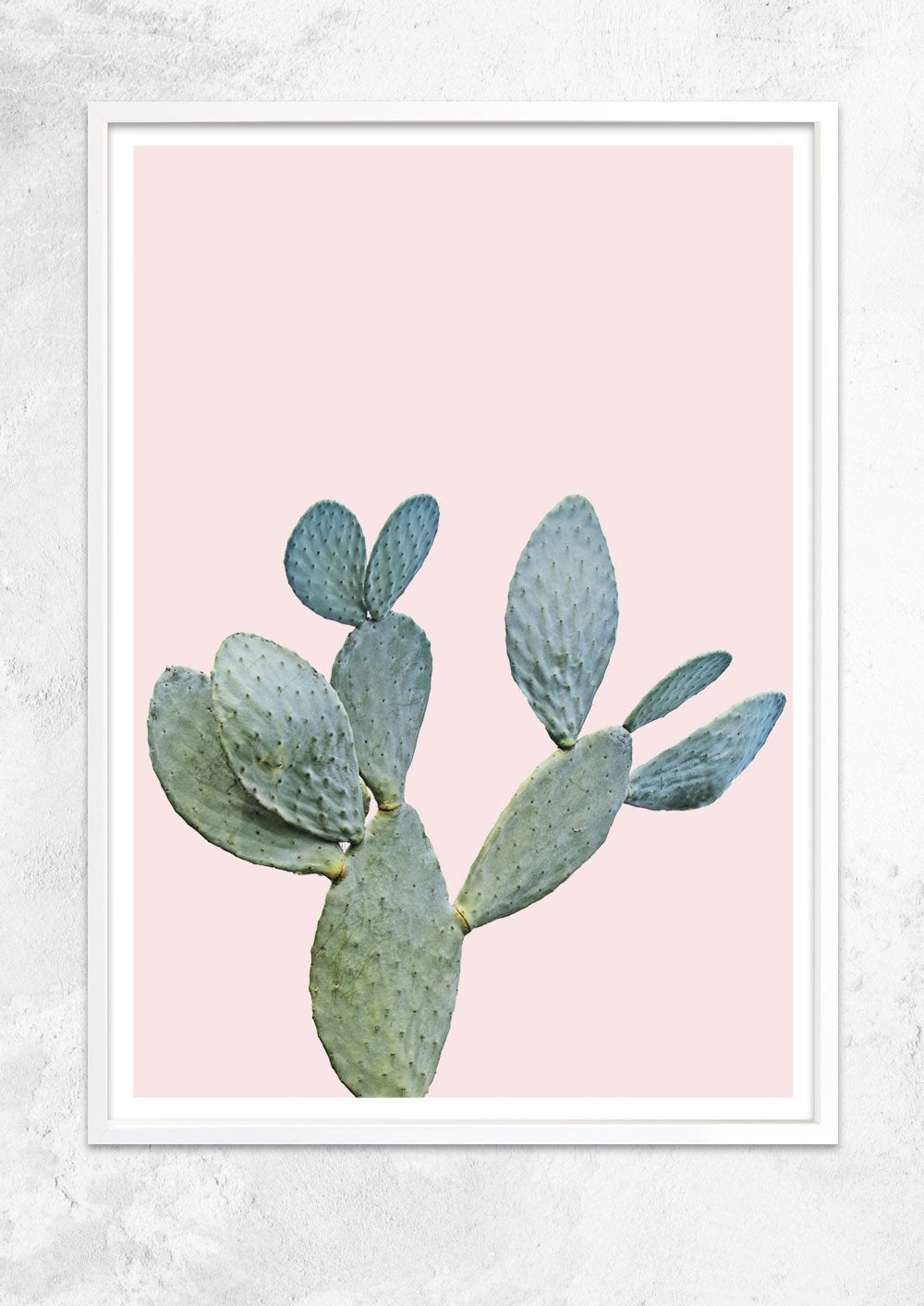 Prickly Pear in Dusty Pink