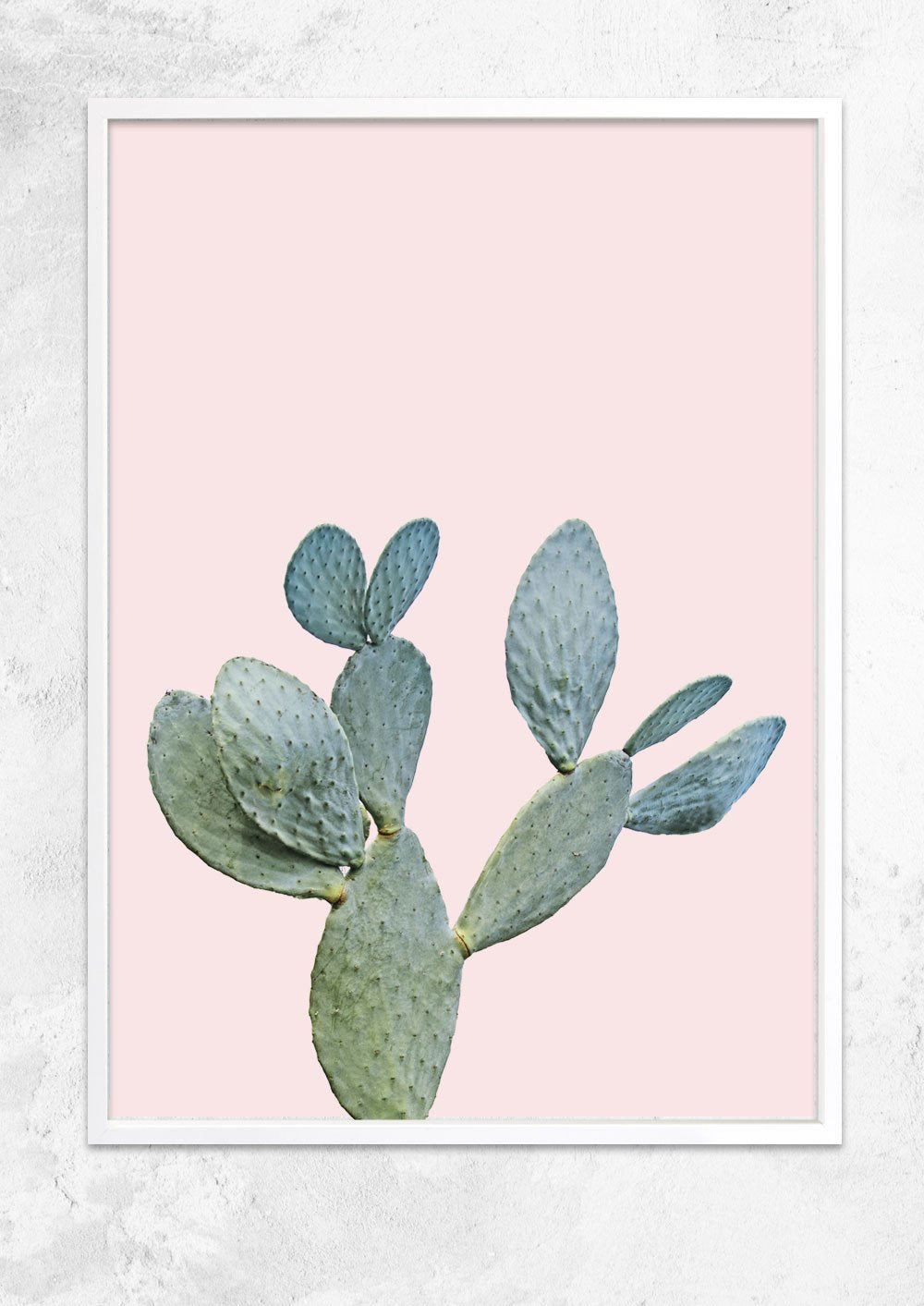 Prickly Pear in Dusty Pink