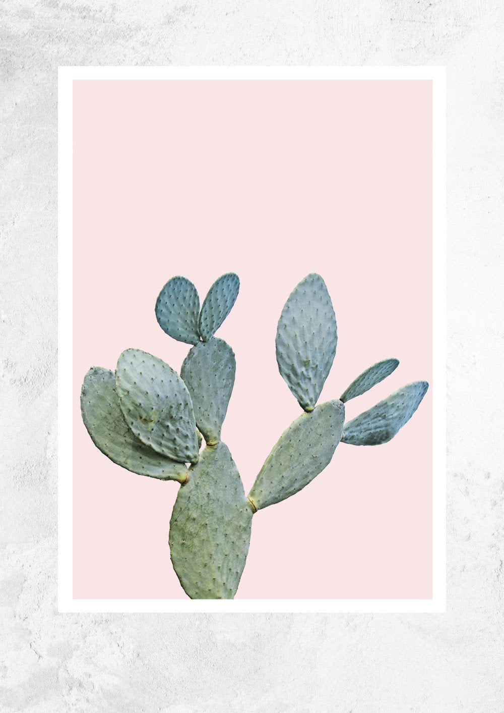 Prickly Pear in Dusty Pink