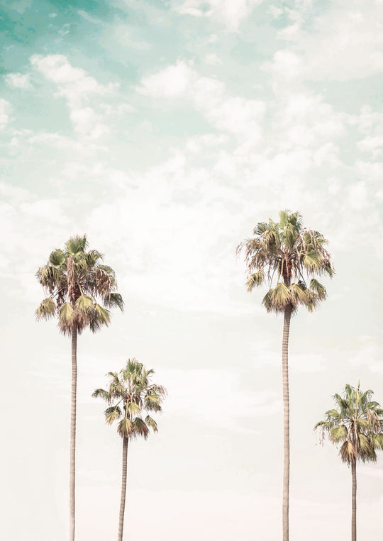 Palm Trees and Jade Skies I