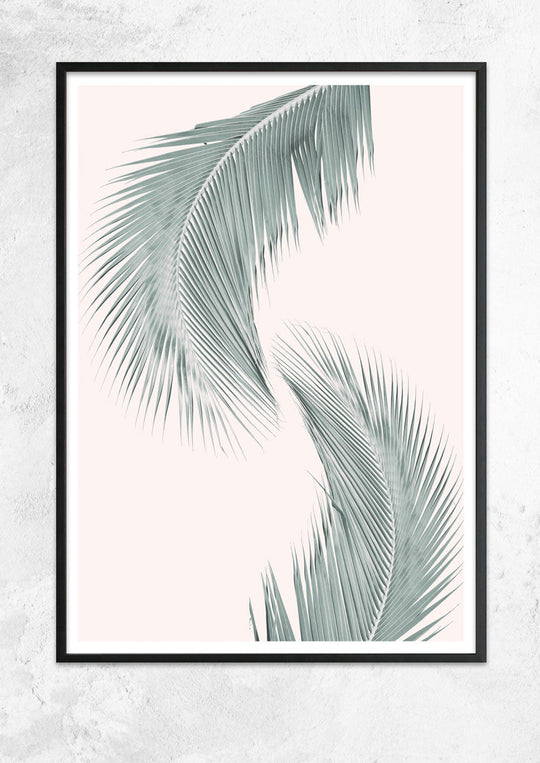 Silver Coconut Palms No I
