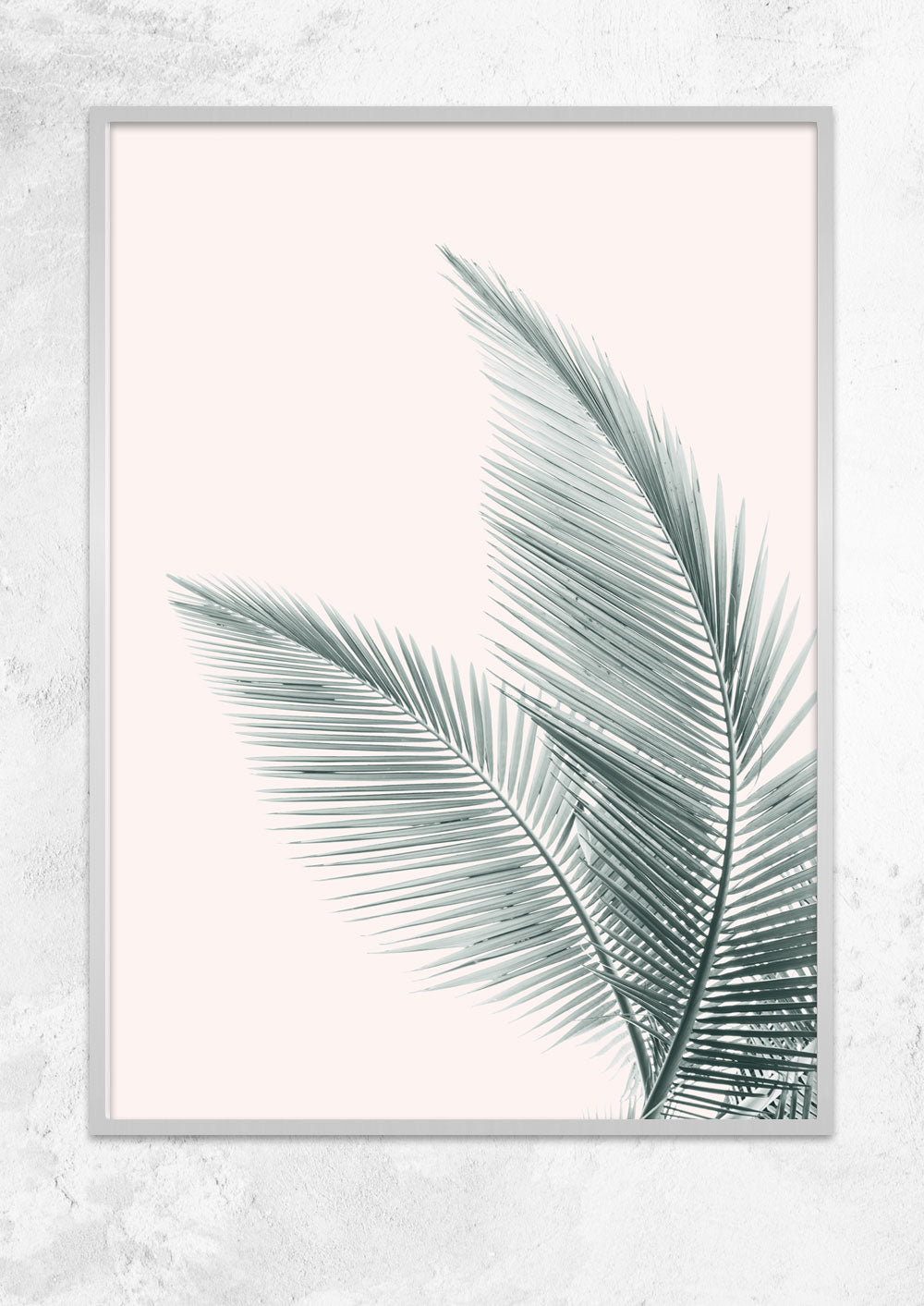 Silver Coconut Palms No II