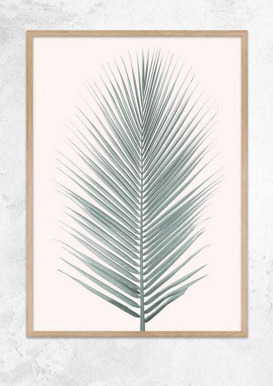 Silver Coconut Palm Leaf