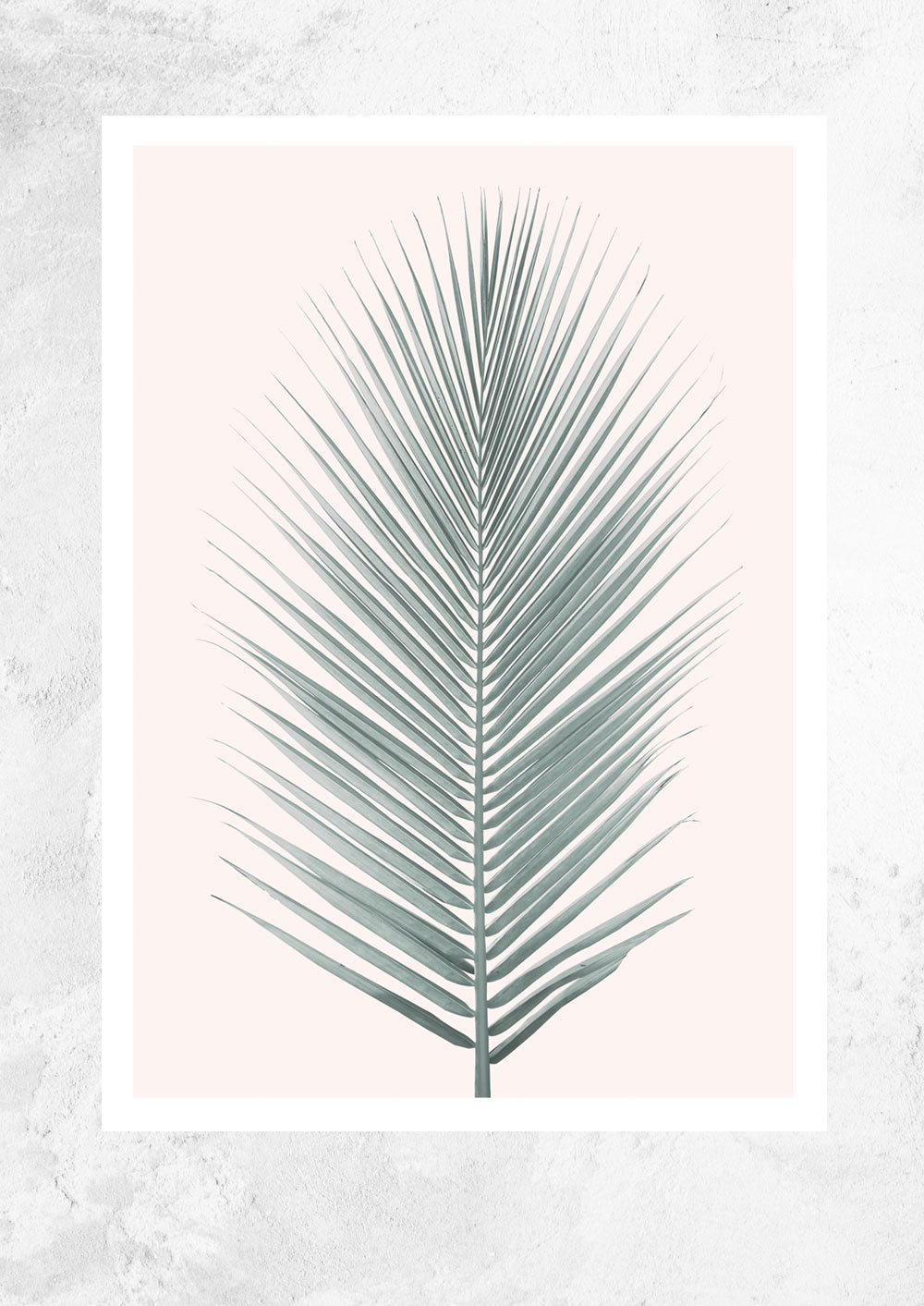 Silver Coconut Palm Leaf