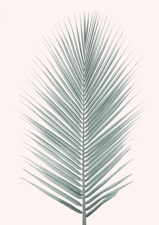 Silver Coconut Palm Leaf