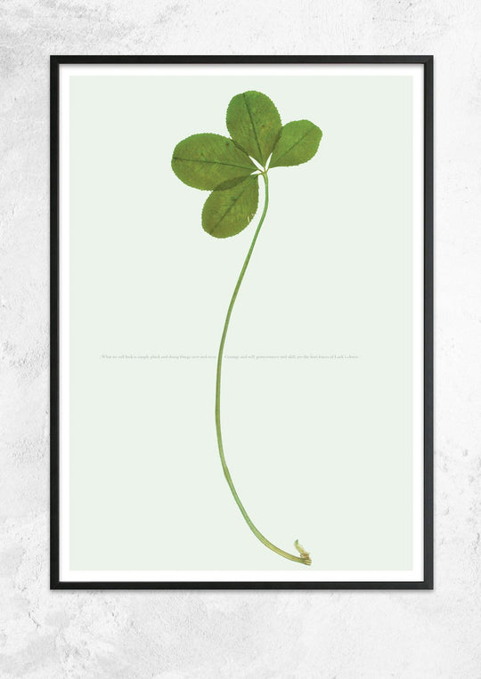 What We Call Luck