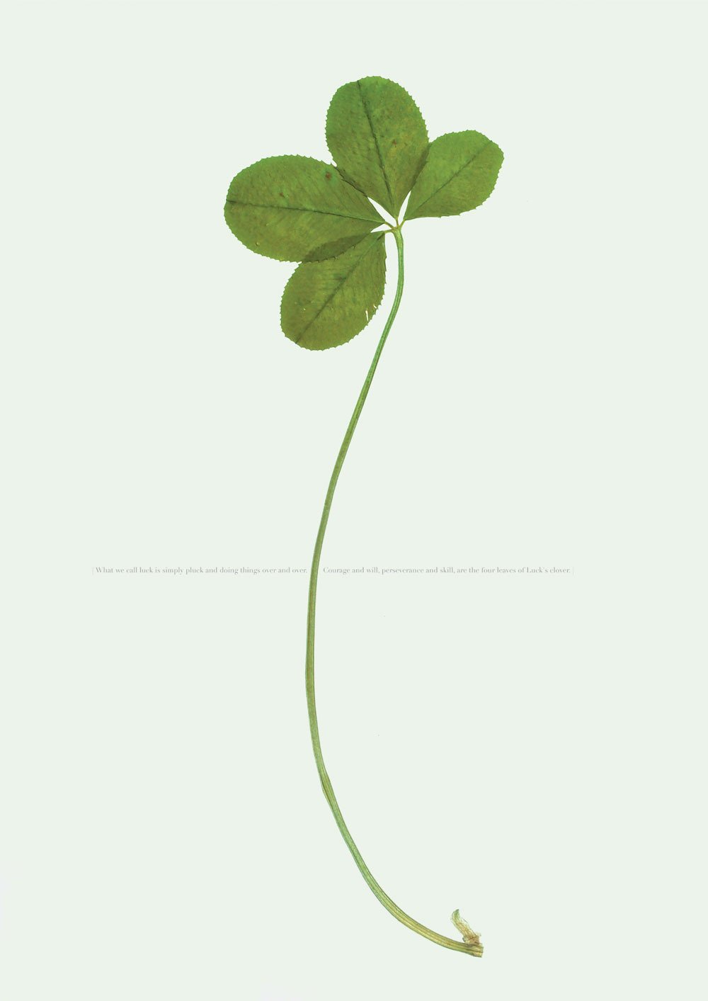 What We Call Luck