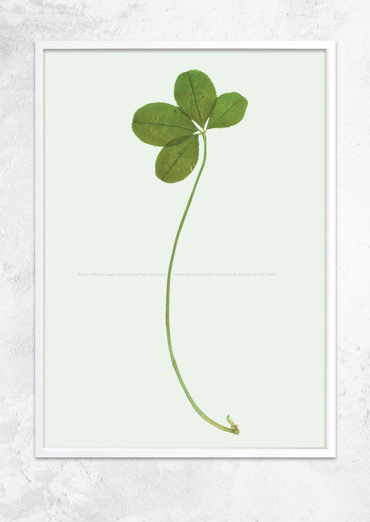 What We Call Luck
