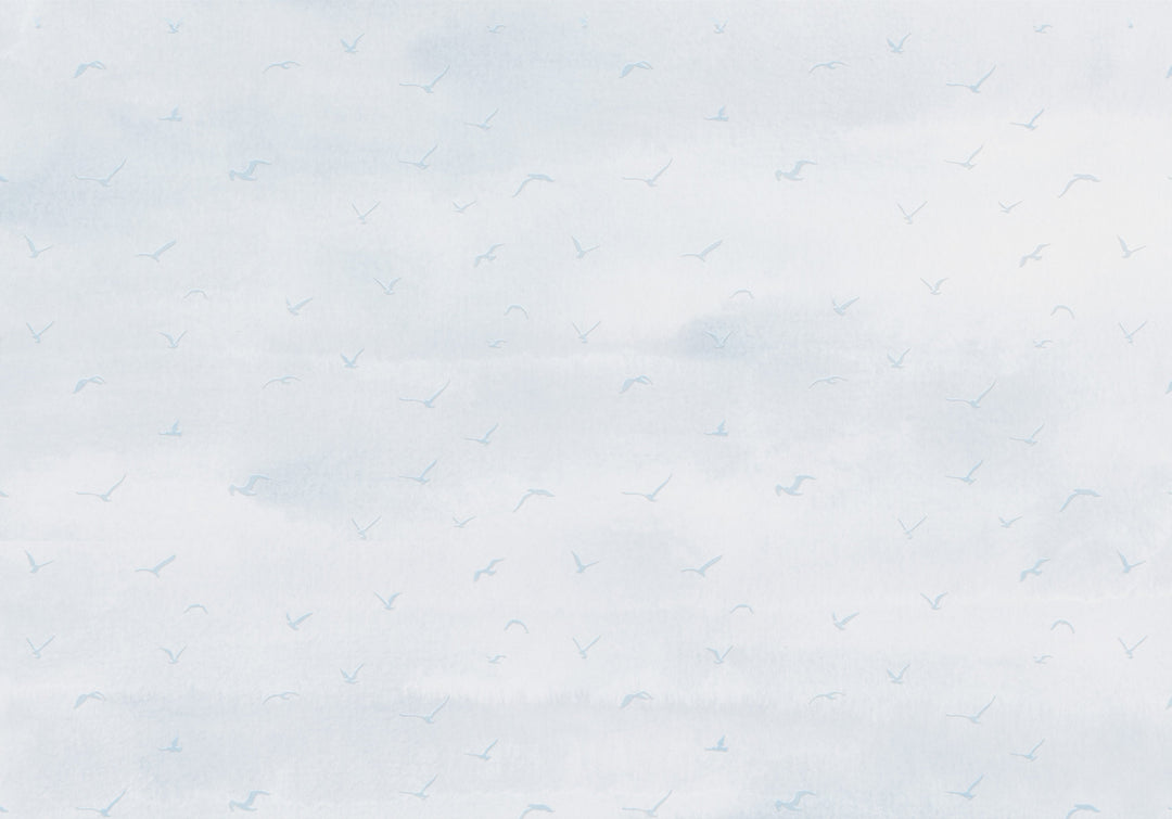 Fairy Terns