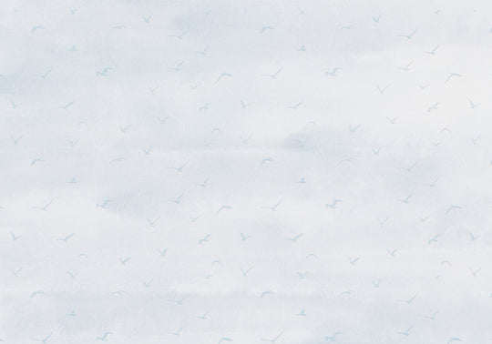 Fairy Terns