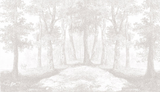 The Woods