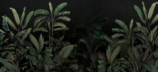 Midnight Garden