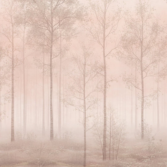Ethereal Forest