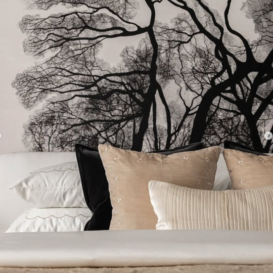 Black Oak