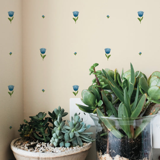 Blue Tulips