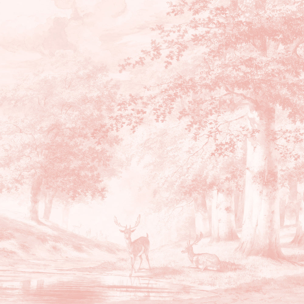 Beech Tree Springs Series II - Blush