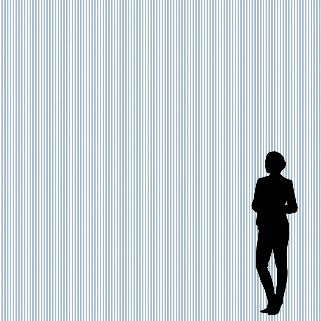 Literary Stripes ~ The Shelley in Little Boy Blue