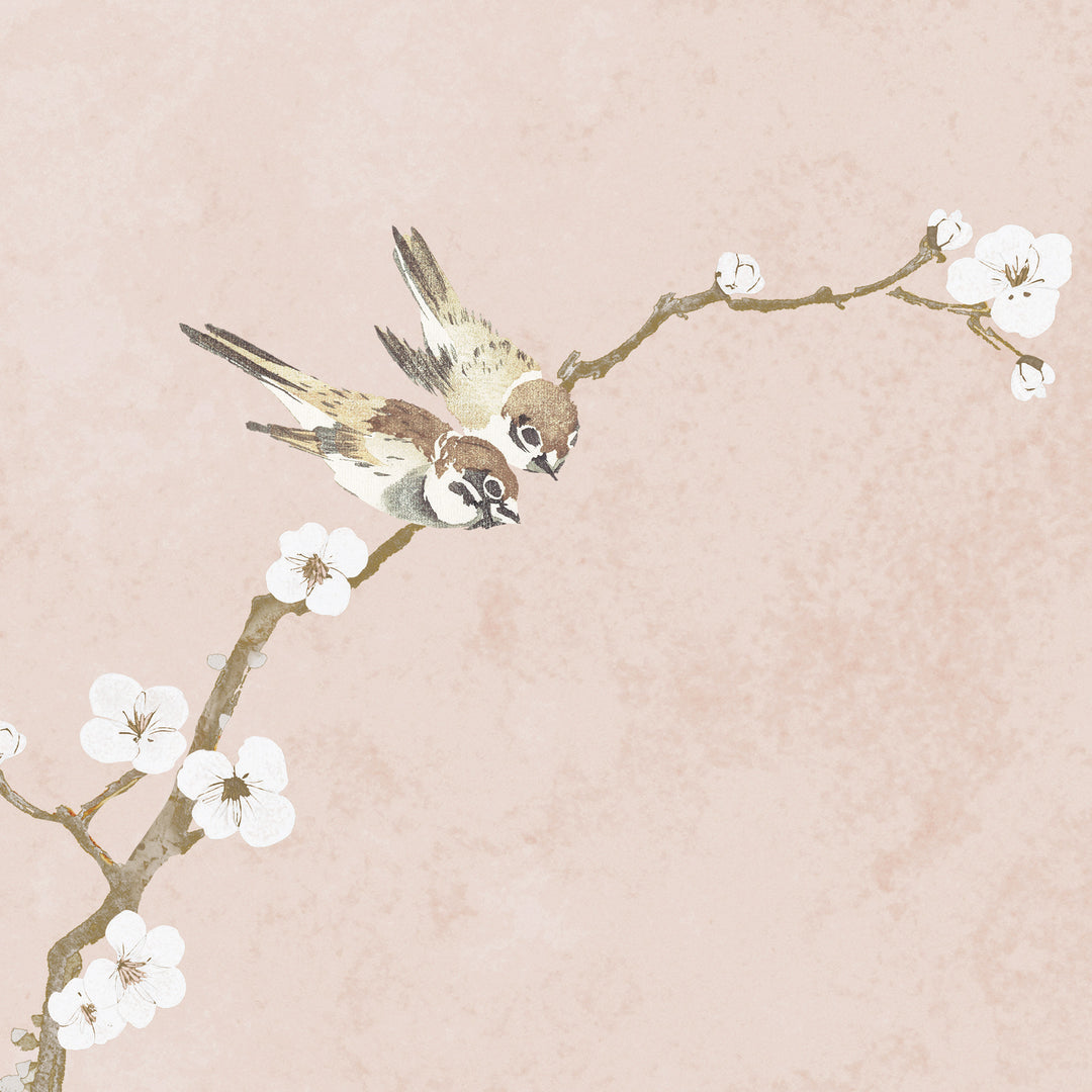 Japanese Birds of Spring - Blush