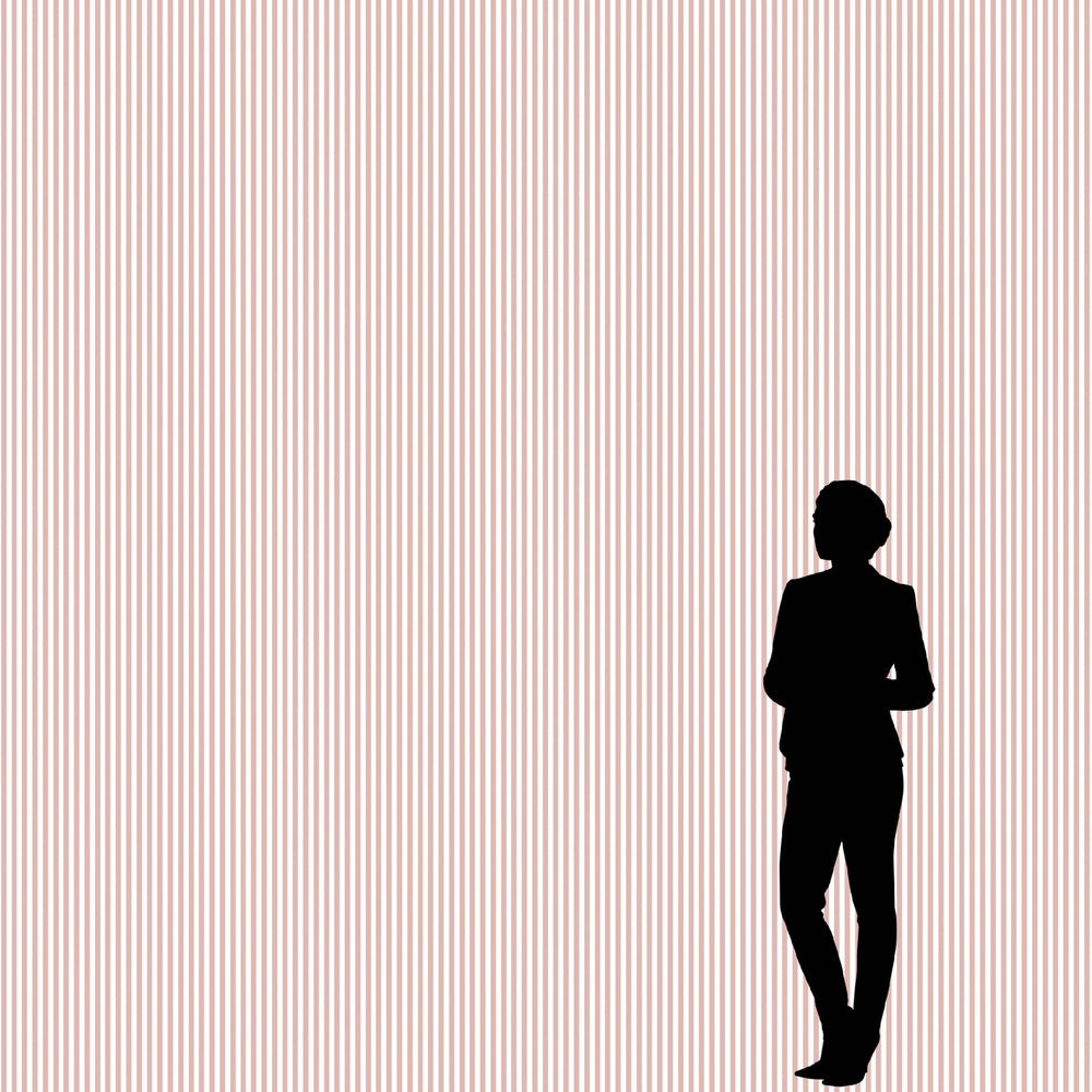 Literary Stripes ~ The Shelley in Pink Carnation