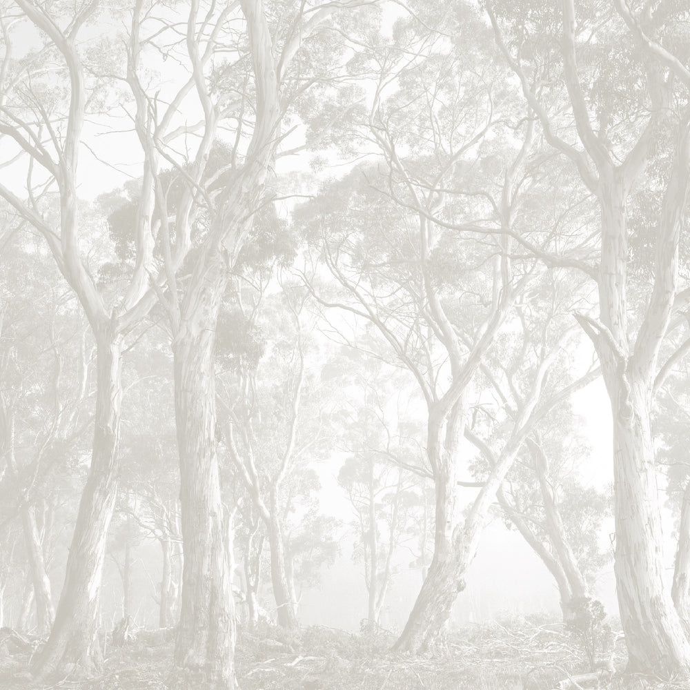 Bushland Taupe