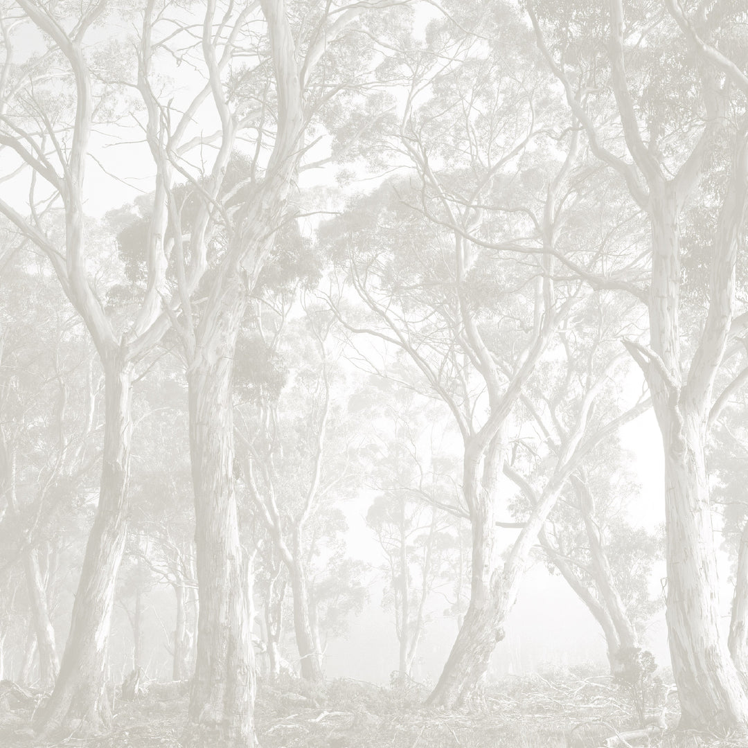 Bushland Taupe