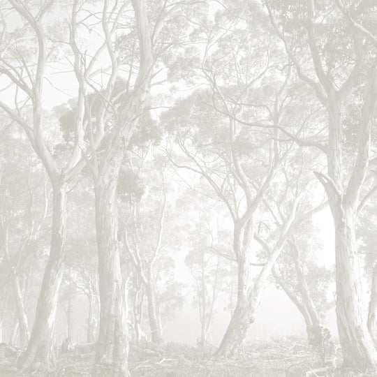 Bushland Taupe