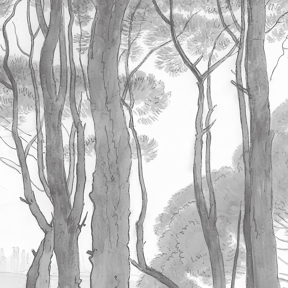 Umbrella Pines Study - Pale Ash