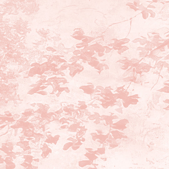 Beech Tree Springs Series II - Blush