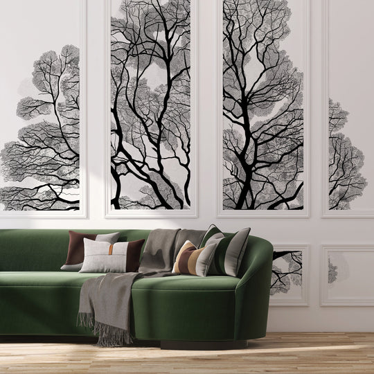 Black Oak