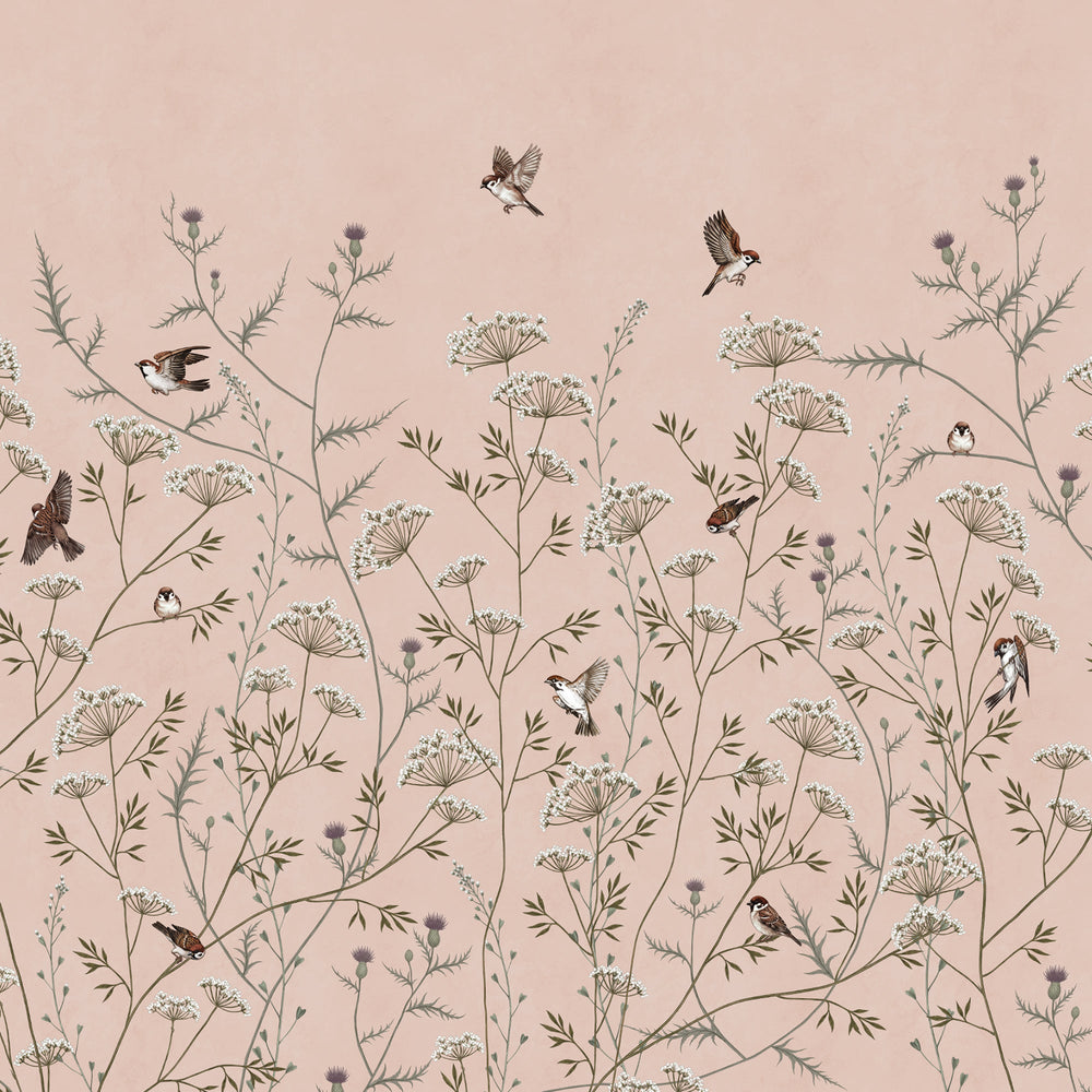 Whispering Thistle on Blush