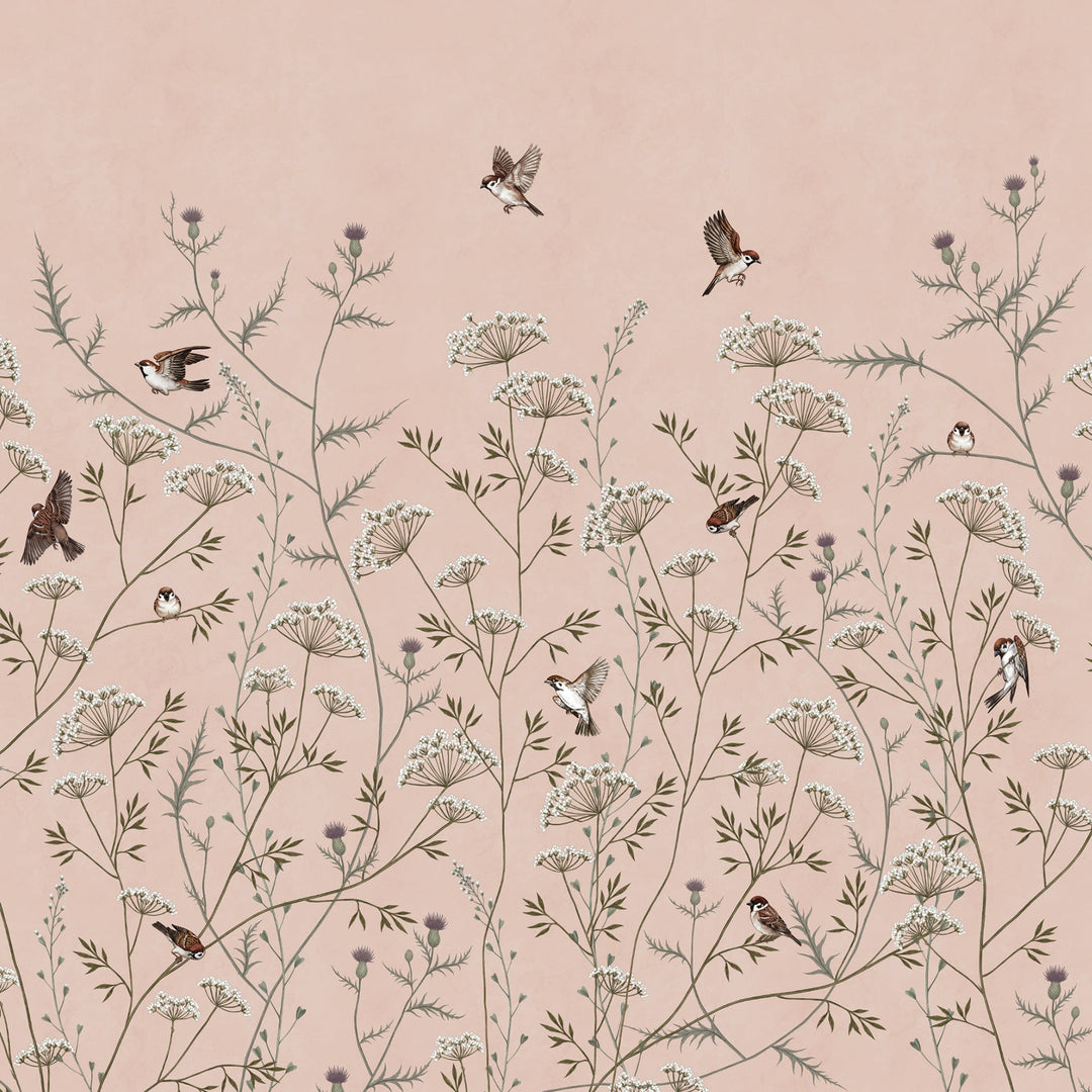 Whispering Thistle on Blush