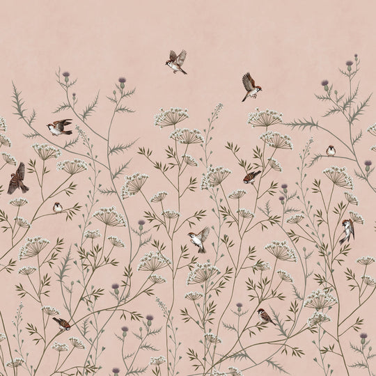 Whispering Thistle on Blush