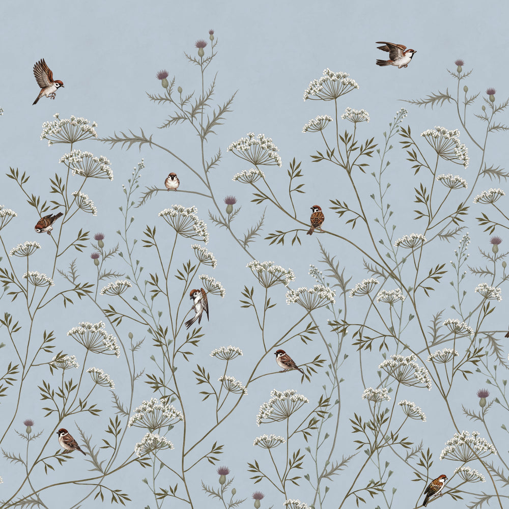 Whispering Thistle on Powder Blue