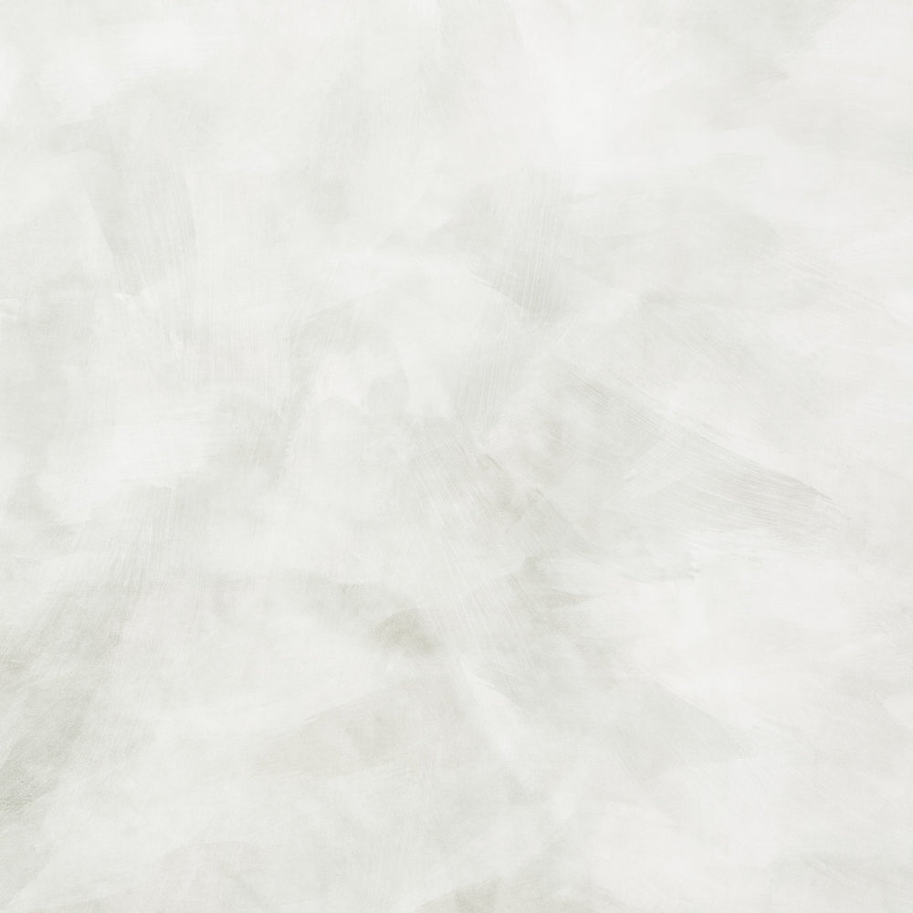 Painted Limewash in Ivory