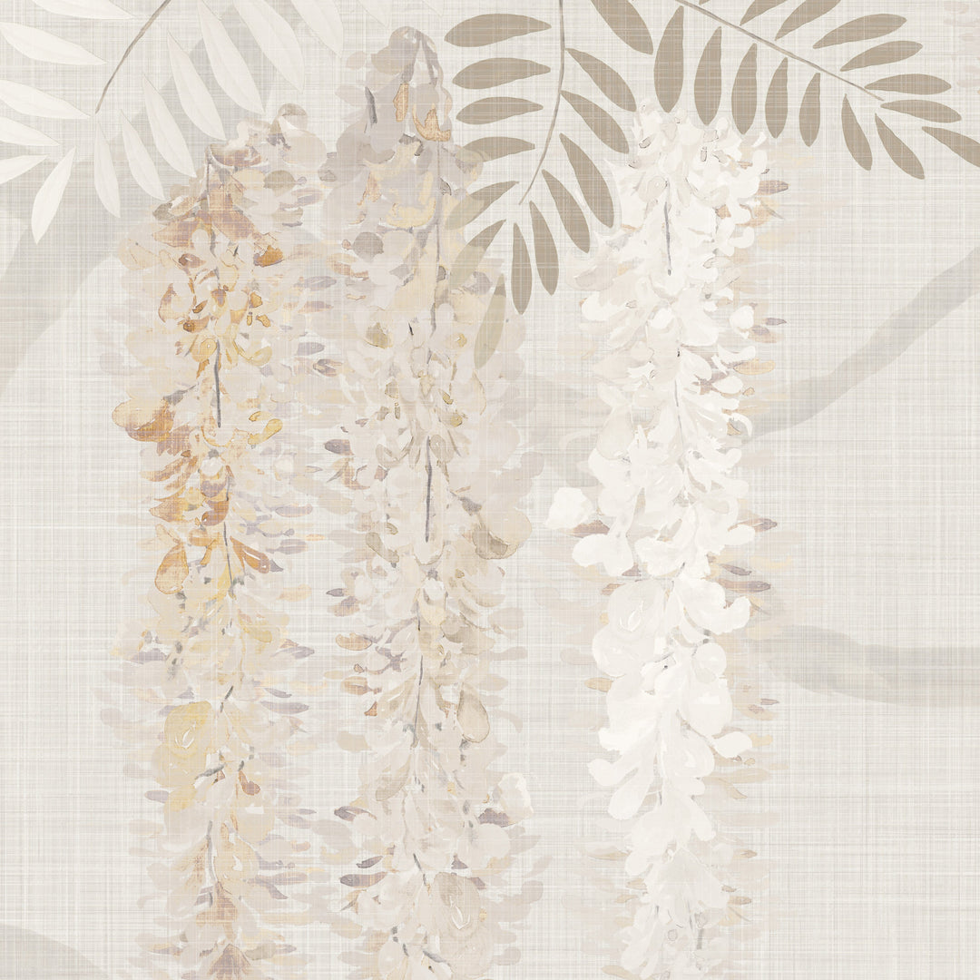 Weeping Wisteria - Faded