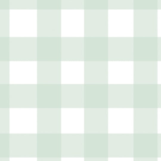 Gingham - Pale Green