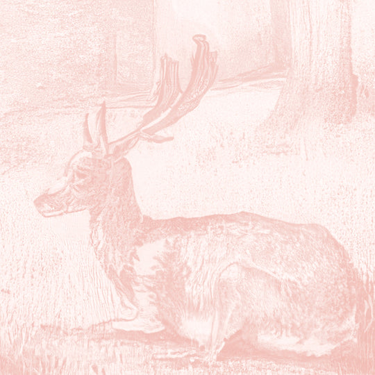 Beech Tree Springs Series II - Blush