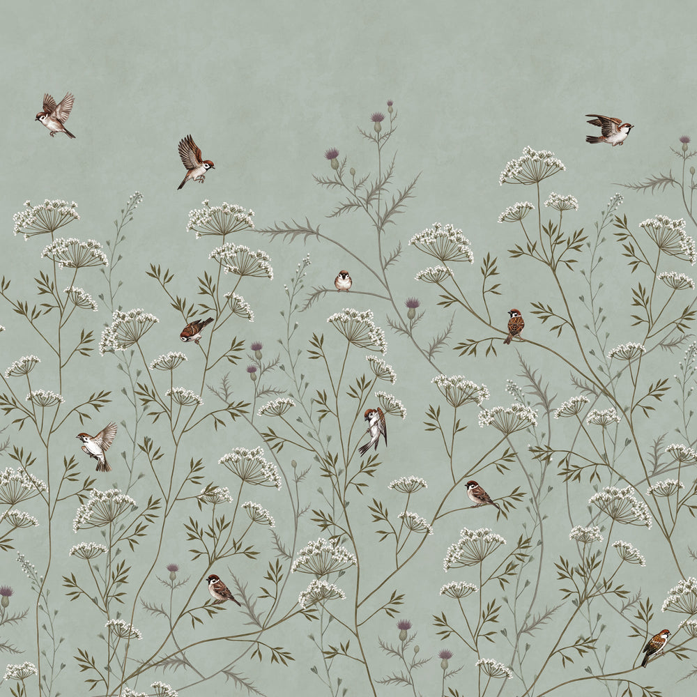 Whispering Thistle on Eucalyptus