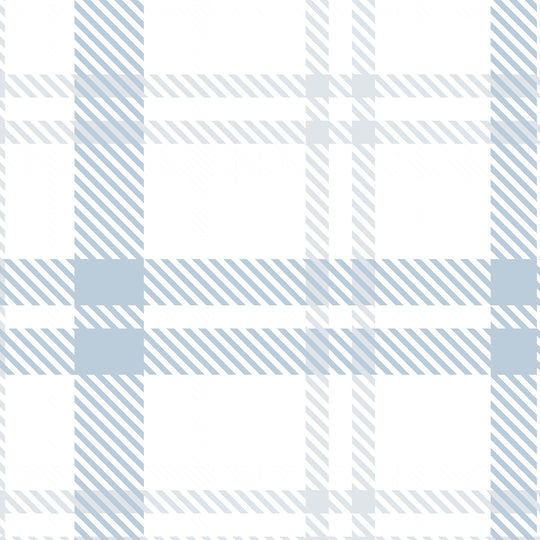 Plaid - Pale Blue