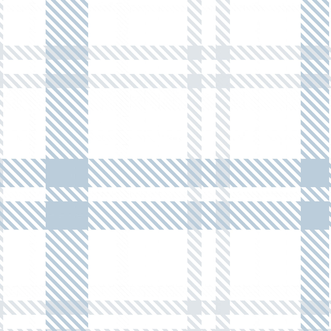Plaid - Pale Blue