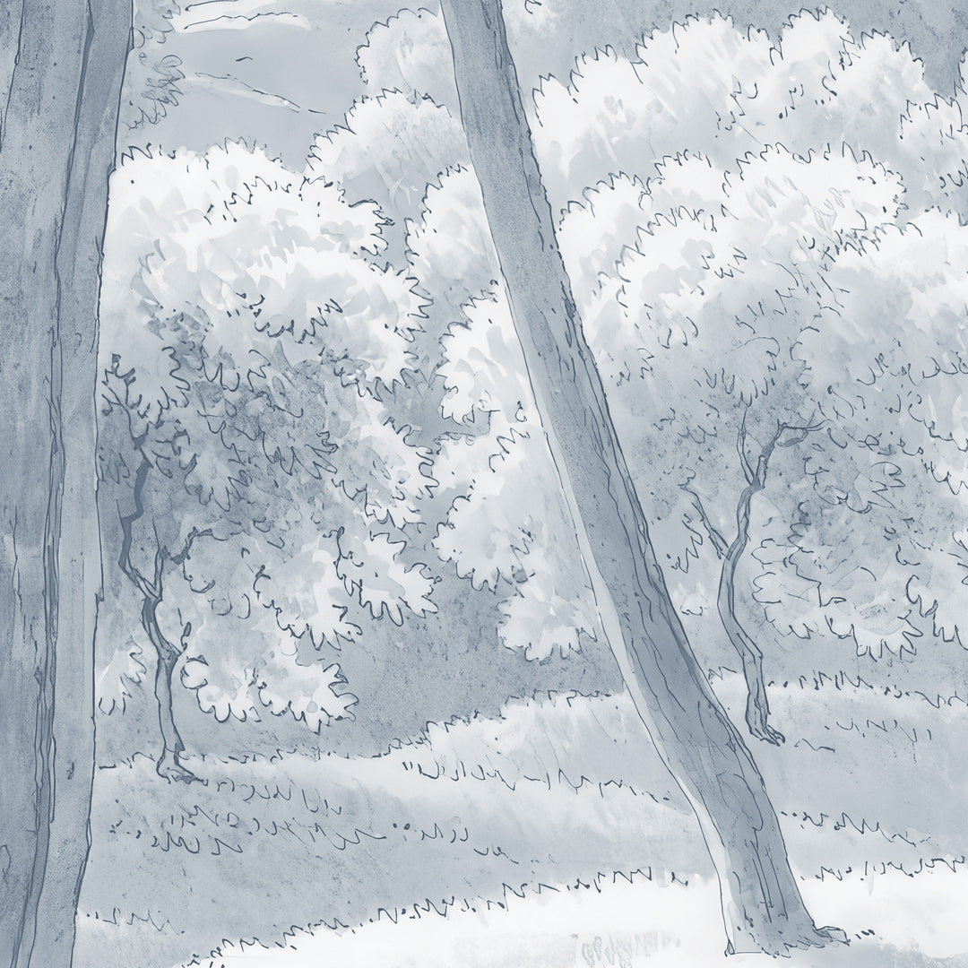 Umbrella Pines Study - Slate