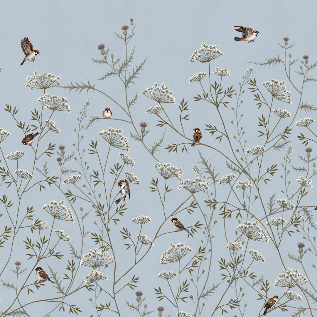 Whispering Thistle on Powder Blue