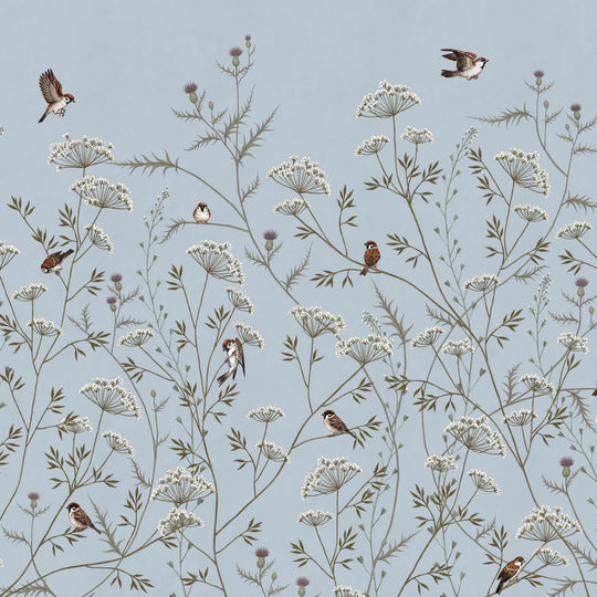 Whispering Thistle on Powder Blue