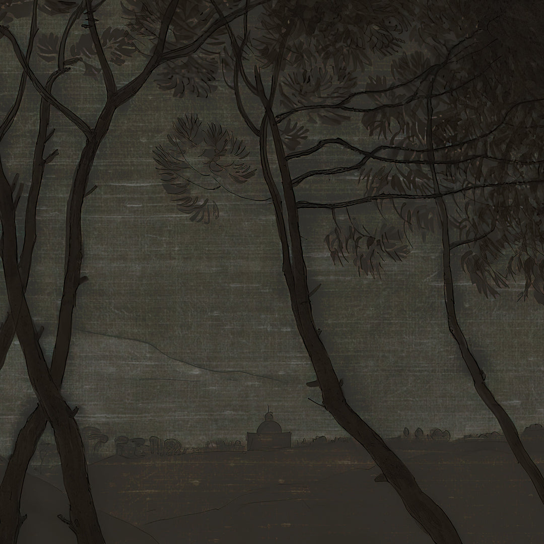 Umbrella Pines Study - Shadow Silk